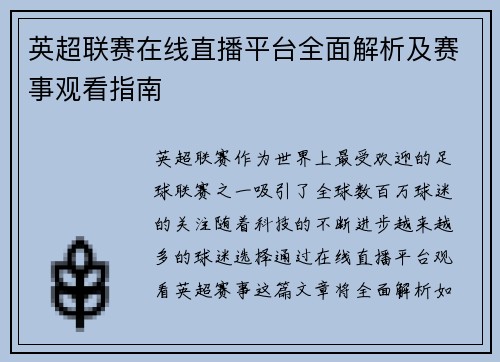 英超联赛在线直播平台全面解析及赛事观看指南