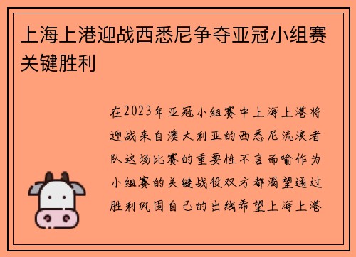 上海上港迎战西悉尼争夺亚冠小组赛关键胜利